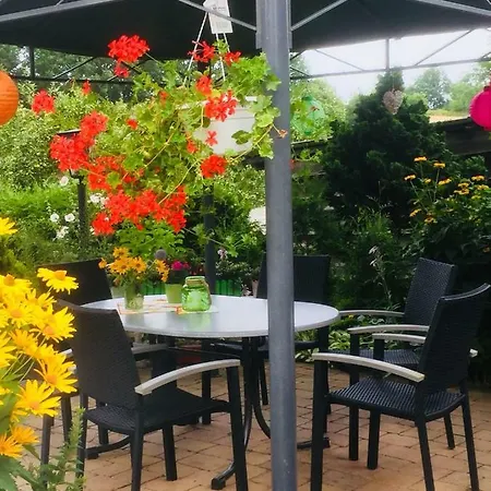 Ferienwohnung Am Grossem Priepertsee Appartement Priepert